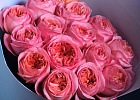 Купить Букет из 15 пионовидных розовых роз 70 см Pink Expression в  с бесплатной доставкой: цена, фото, описание